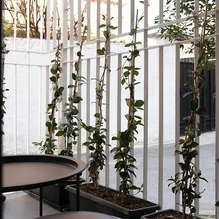 Center Apartment