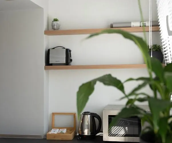 Center Apartament Tirana